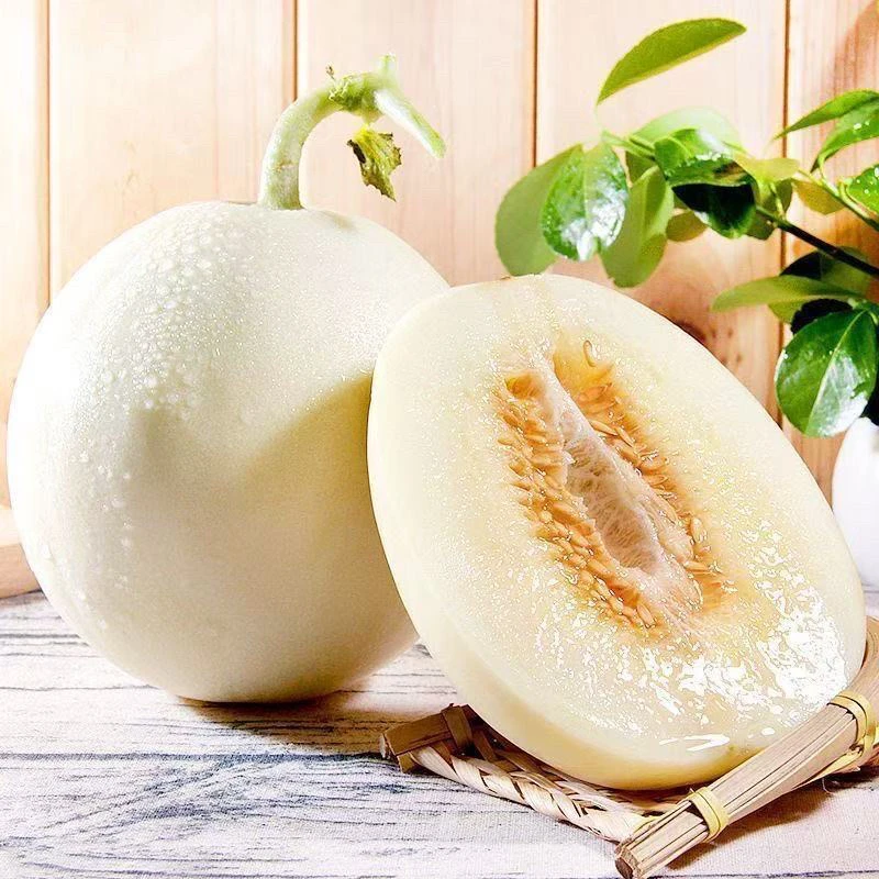 【新疆包邮】蜜瓜白心海南新鲜应季水果冰糖脆甜瓜脆甜多汁甜