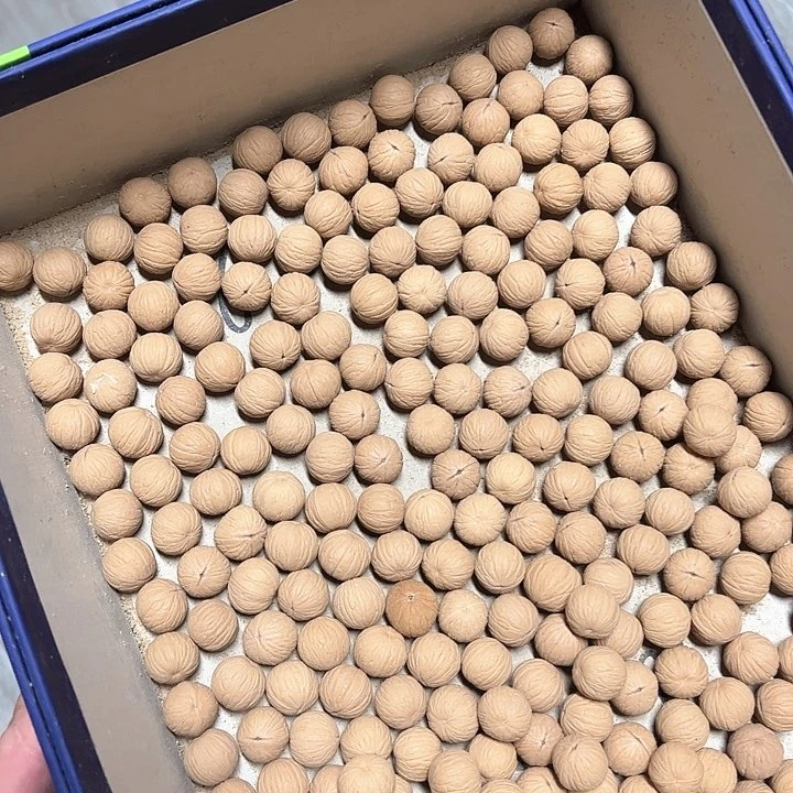 手串猴头核桃周****司盆子17+230颗不打孔