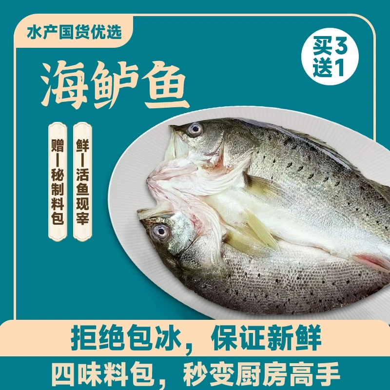 【开背海鲈鱼】海鲈鱼活鱼现杀速冻锁鲜去鳞鲜嫩肉质鲜美 口感新鲜
