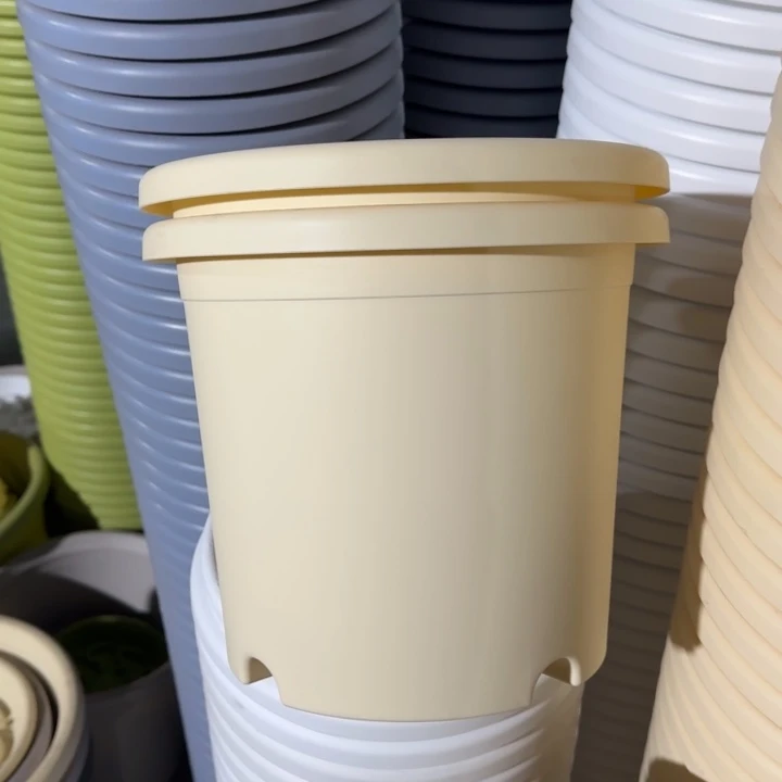 四季4#口径25无托米黄8个