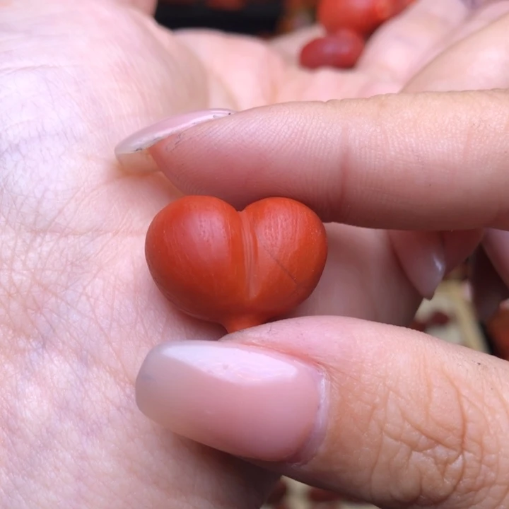 南红玛瑙未镶嵌颈饰i****t