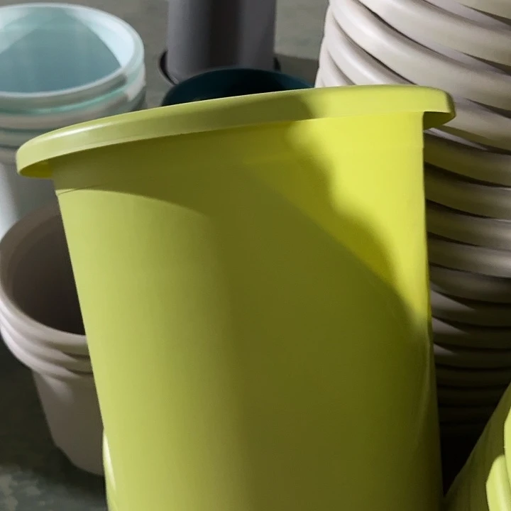 四季8号果绿无托5个特价微瑕