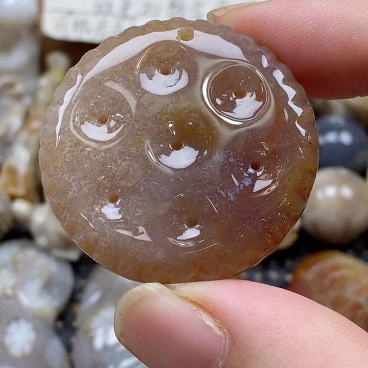 颈饰未镶嵌硅化珊瑚（珊瑚玉）