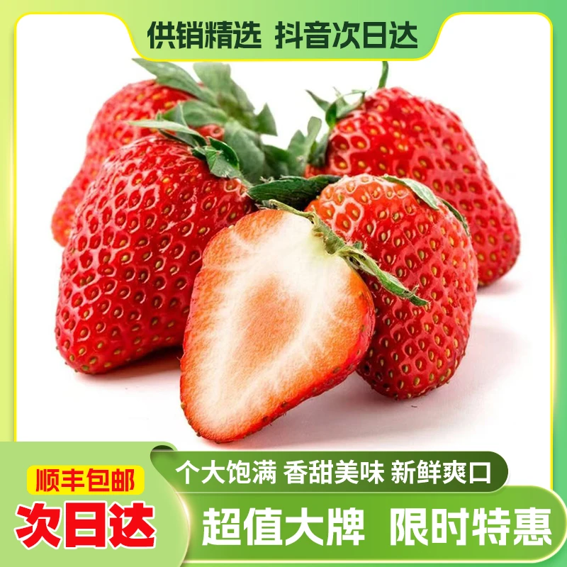 【现摘现发】丹东红颜草莓奶油草莓新鲜 顺丰包邮 250g