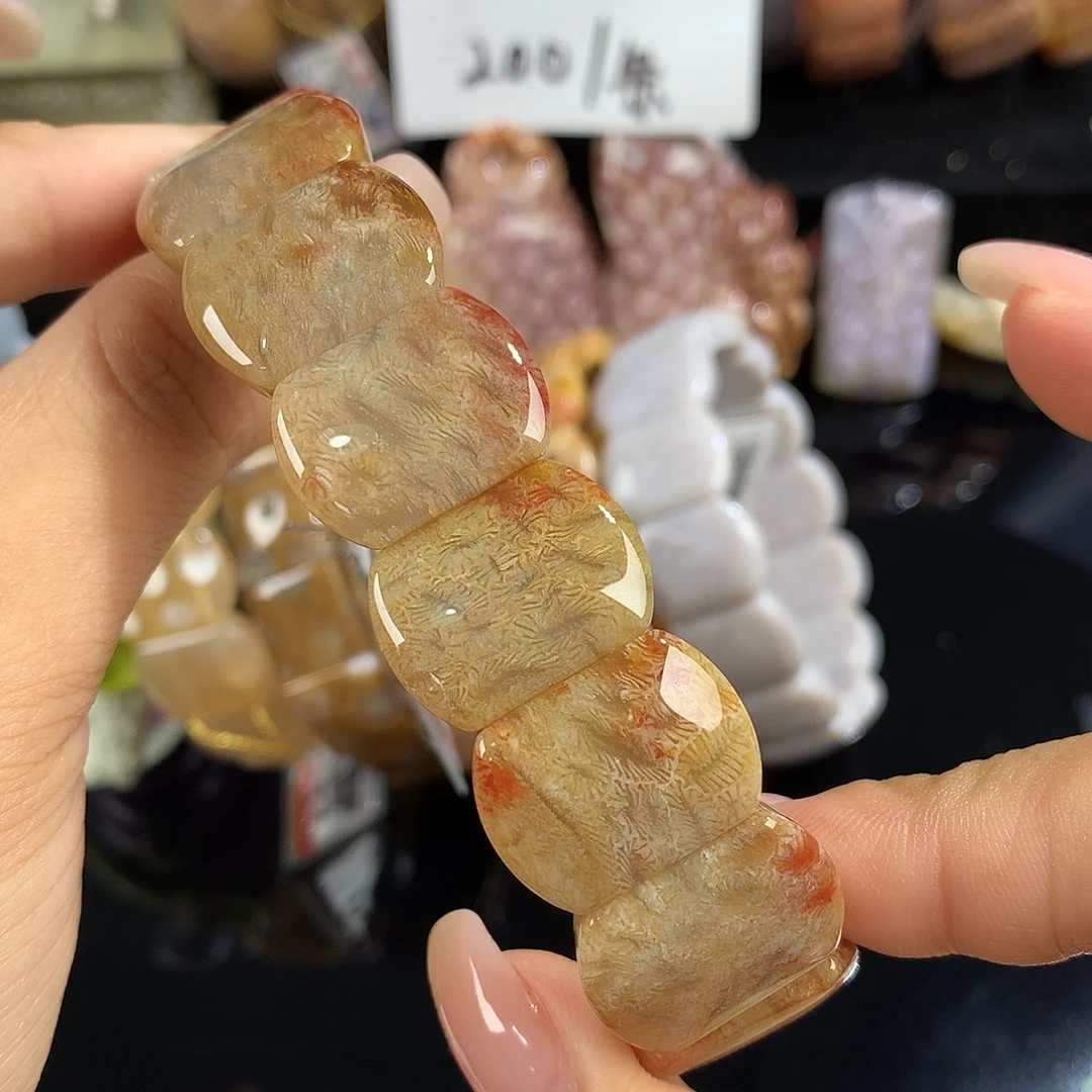 吊坠(赠链)银S925镶嵌硅化珊瑚（珊瑚玉）37号意境虫