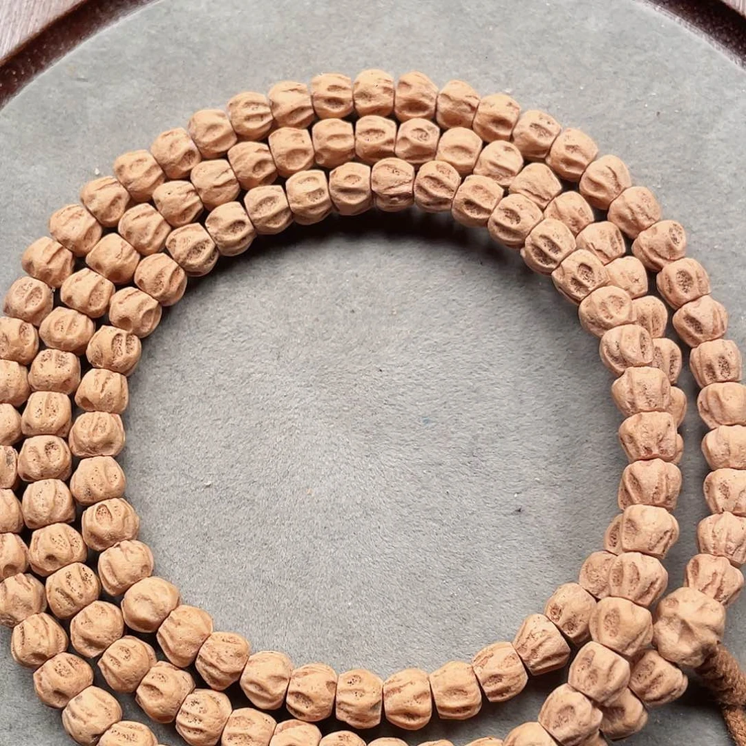 吊坠柏香籽/百香籽树王尸坨林对眼