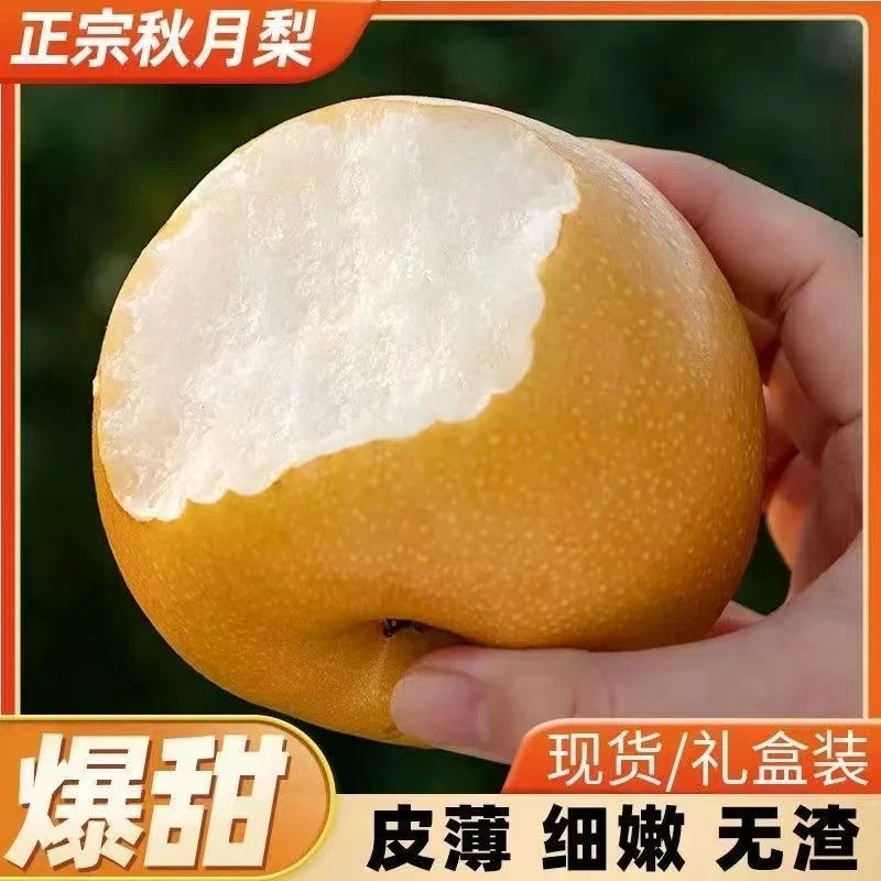 【精美礼盒】秋月梨当季新鲜水果脆多汁细腻无渣正宗脆甜冰糖梨子