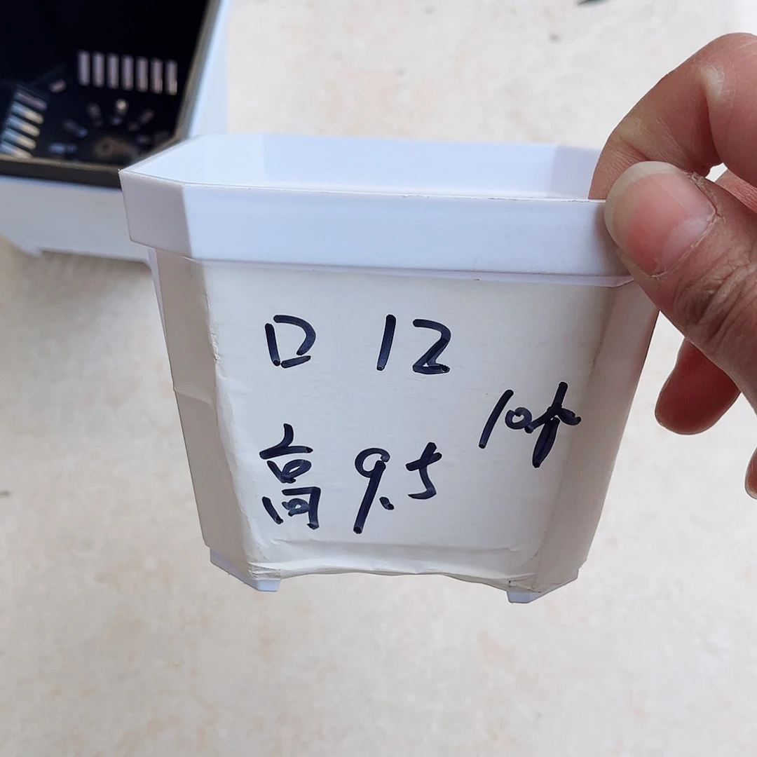 塑料加厚斜角款12方白色盆10个无托