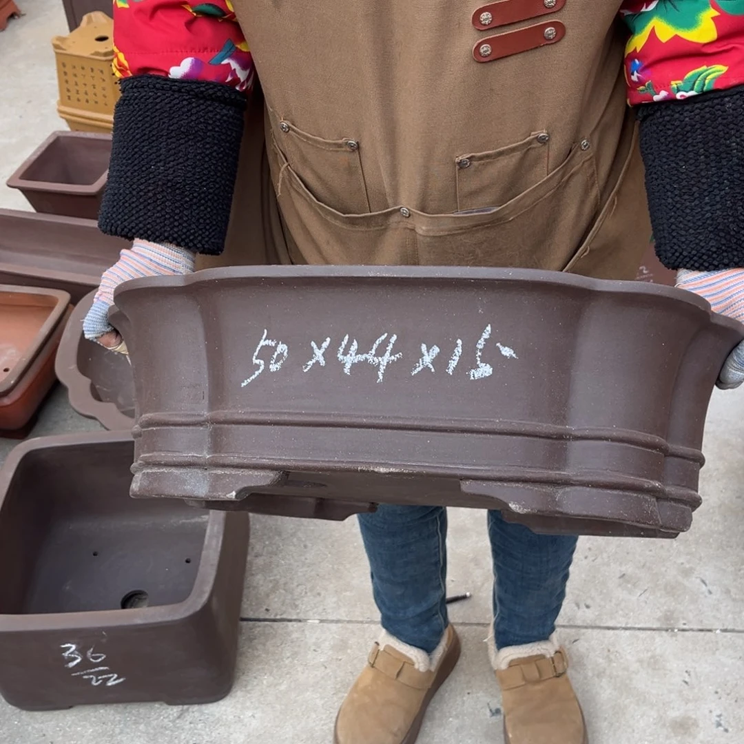 紫砂花盆盆景艺术