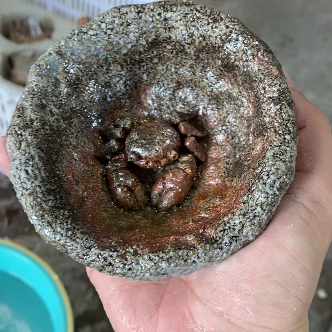 陶园柴烧，精品高货。112