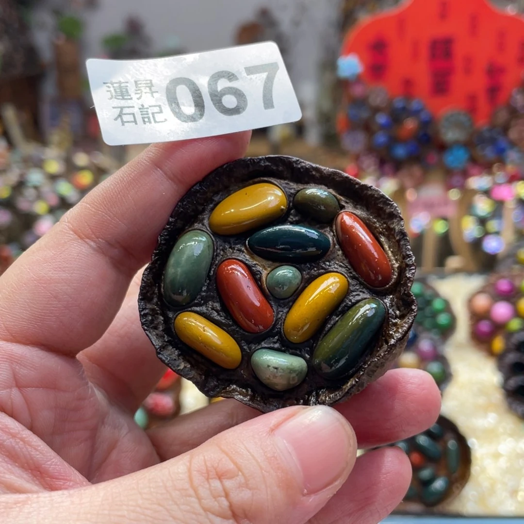 核桃木/黑胡桃(胡桃木)?****067