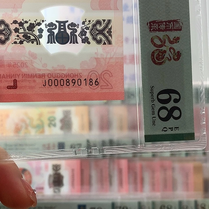 塑料小司令，五福尾，独1
