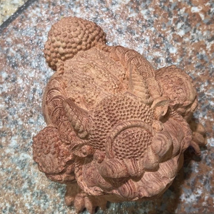 花梨木类浪*...........