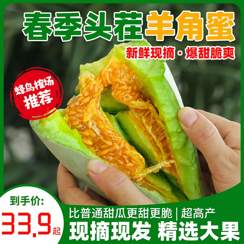 【蜂鸟榷场推荐】山东头茬羊角蜜甜瓜3-5斤装美味大果产地种植美味