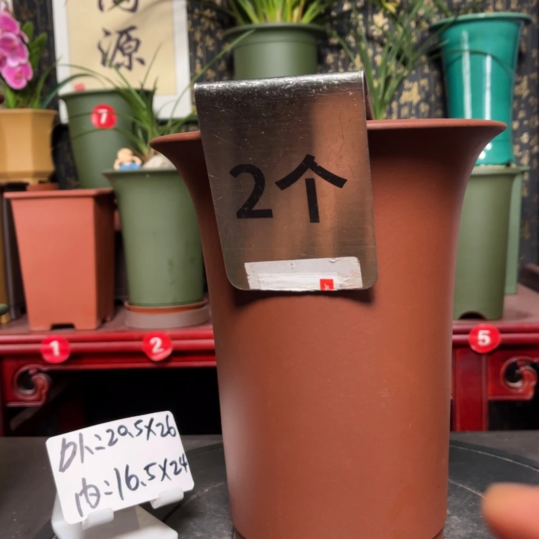 紫砂花盆紫砂花盆