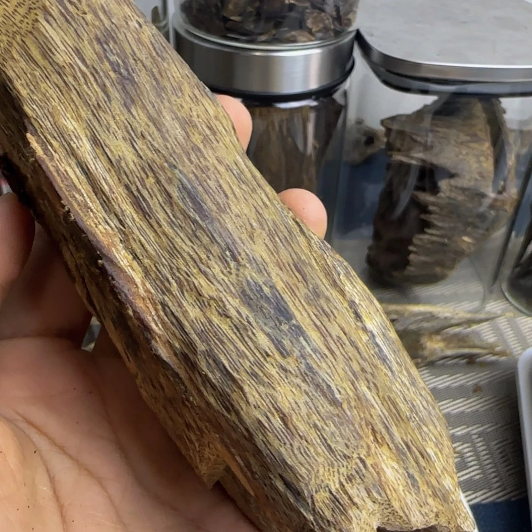 南***鹅香榧木奇楠天然虫漏陆河73克