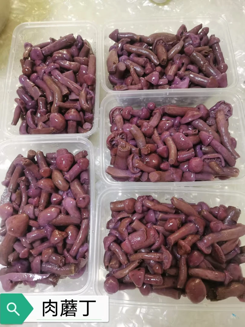 围场野生肉蘑  焯水冷冻发货  顺丰包邮