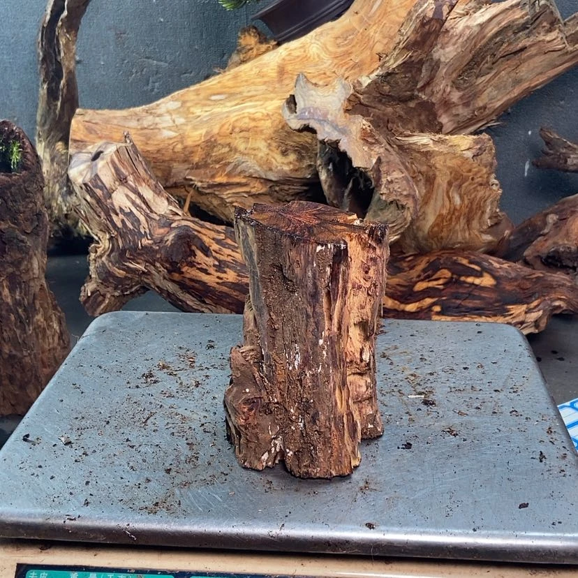 【闪购商品】黄花梨/降香黄檀用****3