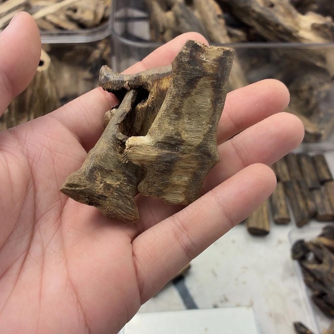 20克的陆河熏香块链