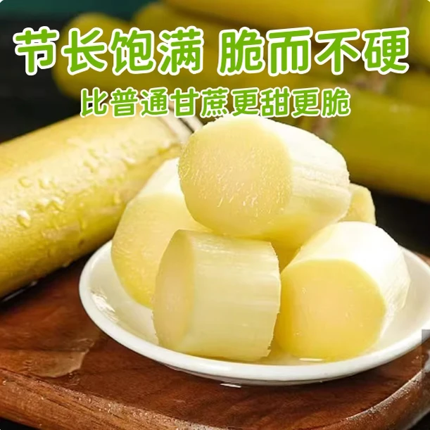 【正宗广西】黄金甘蔗现砍现发产地直发新鲜直达