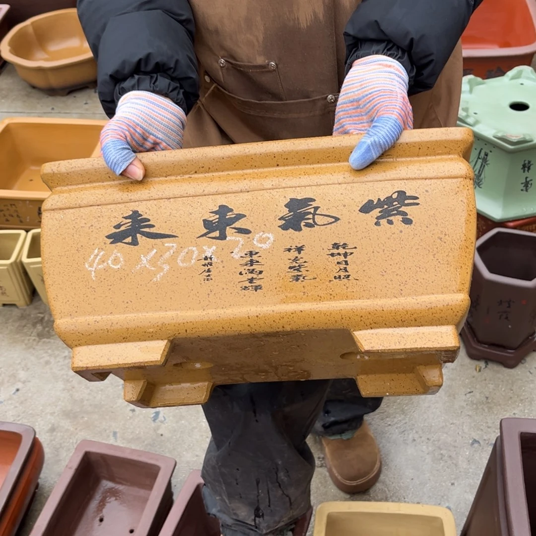 紫砂花盆盆景艺术