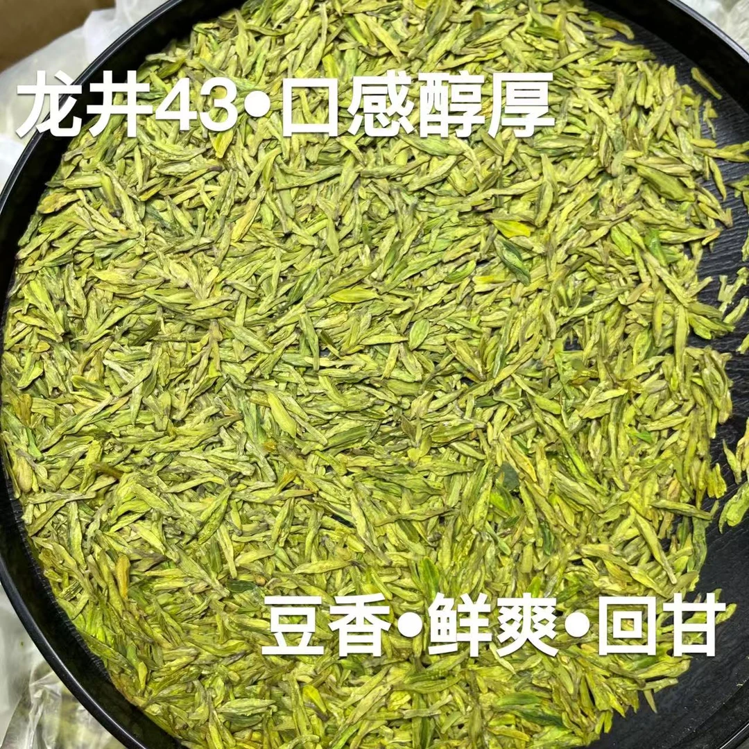 【M480明前龙井43】2025明前龙井43 黄版鲜爽 回味甘甜 香气馥郁