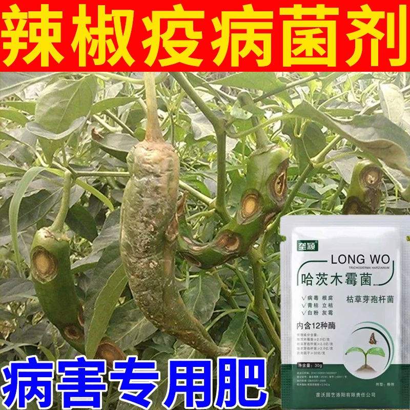 辣椒疫病专用微生物菌剂炭疽病灰霉病绵疫病菌核病蔬菜病害用肥料