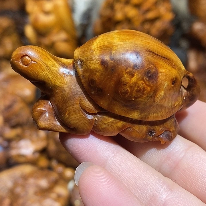 柏木太行崖柏陈化