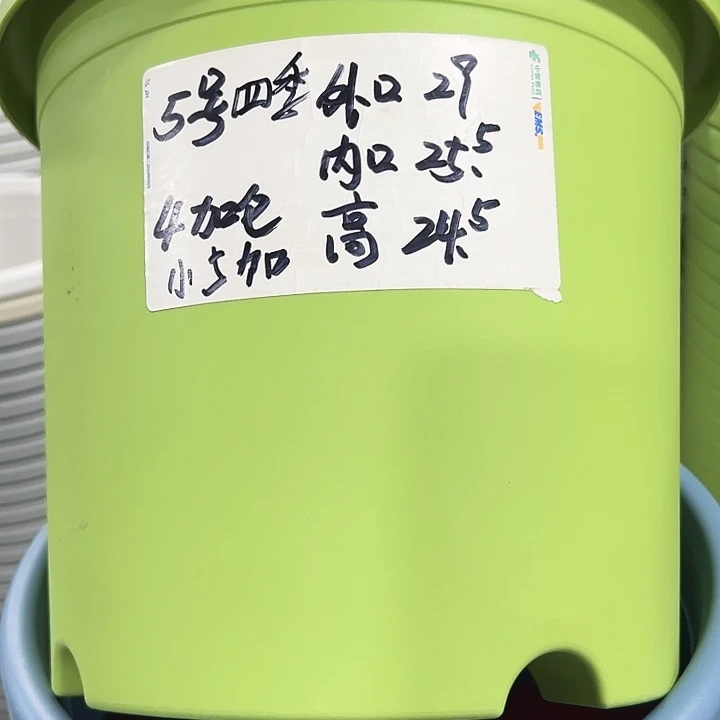 特价5号口29高24.5白色5只无托
