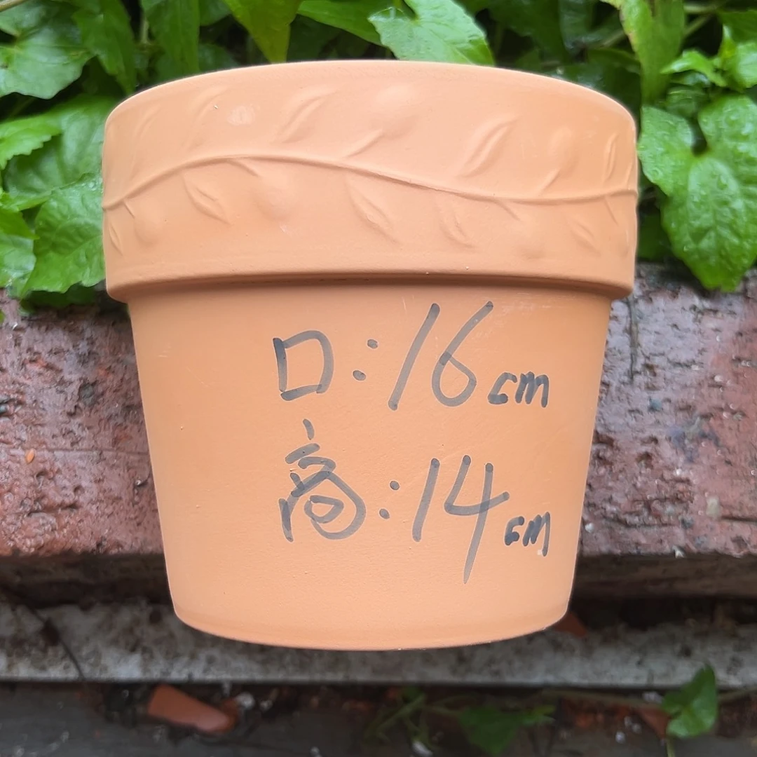 橄榄16口14高1个【微瑕】