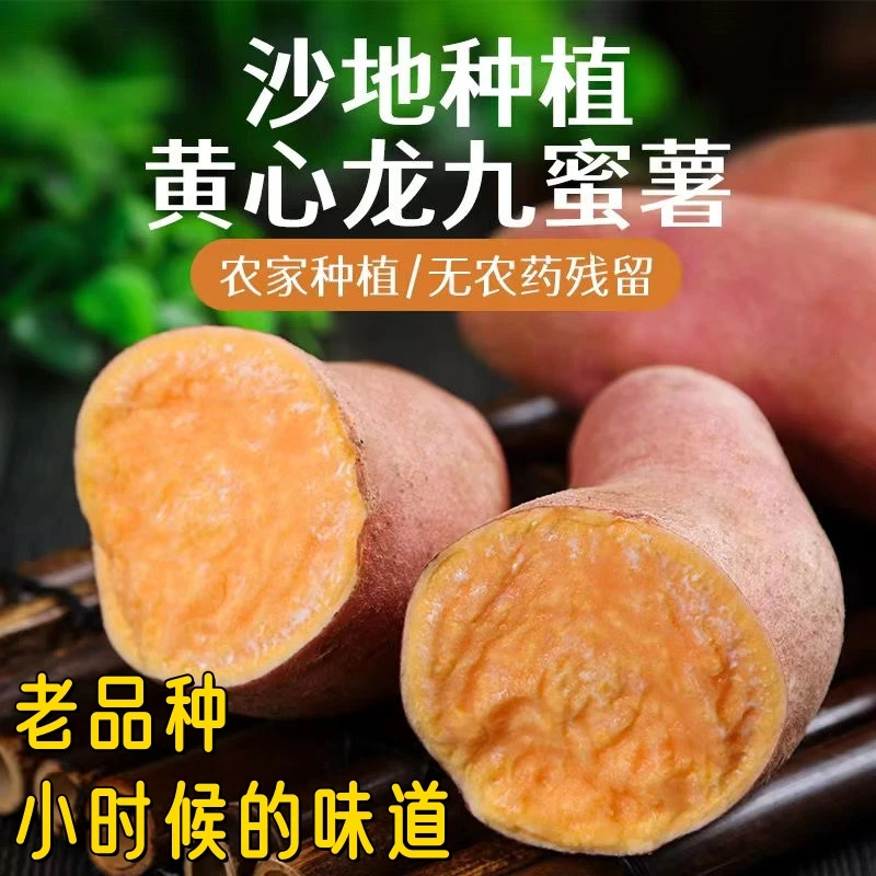 【买3斤送2斤到手5斤】新鲜现挖沙地龙九烤番薯红薯蜜薯地瓜板栗