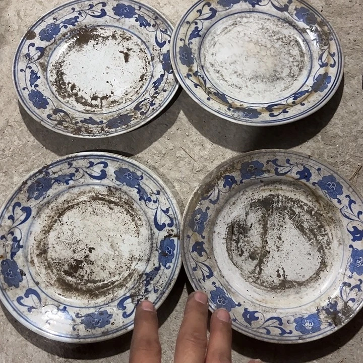 哈哈哈哈哈哈哈姐姐