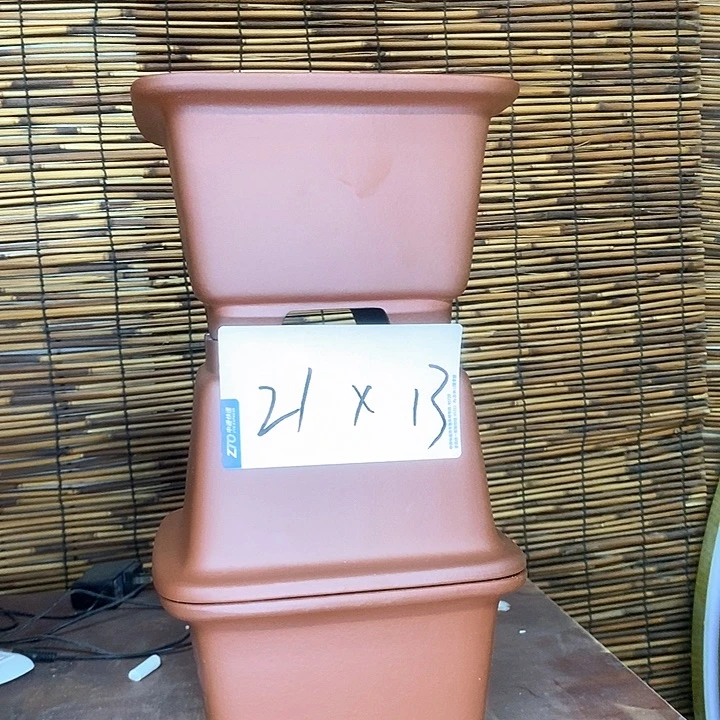 紫砂花盆我在外面