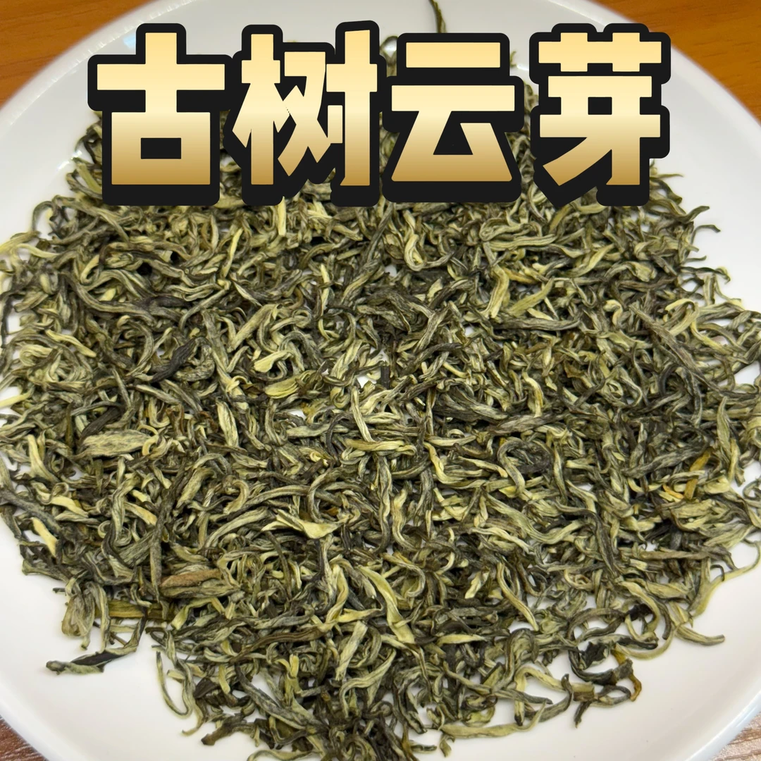 [浓香高货]九窨花茶古树云芽 浓香沙口 经久耐泡