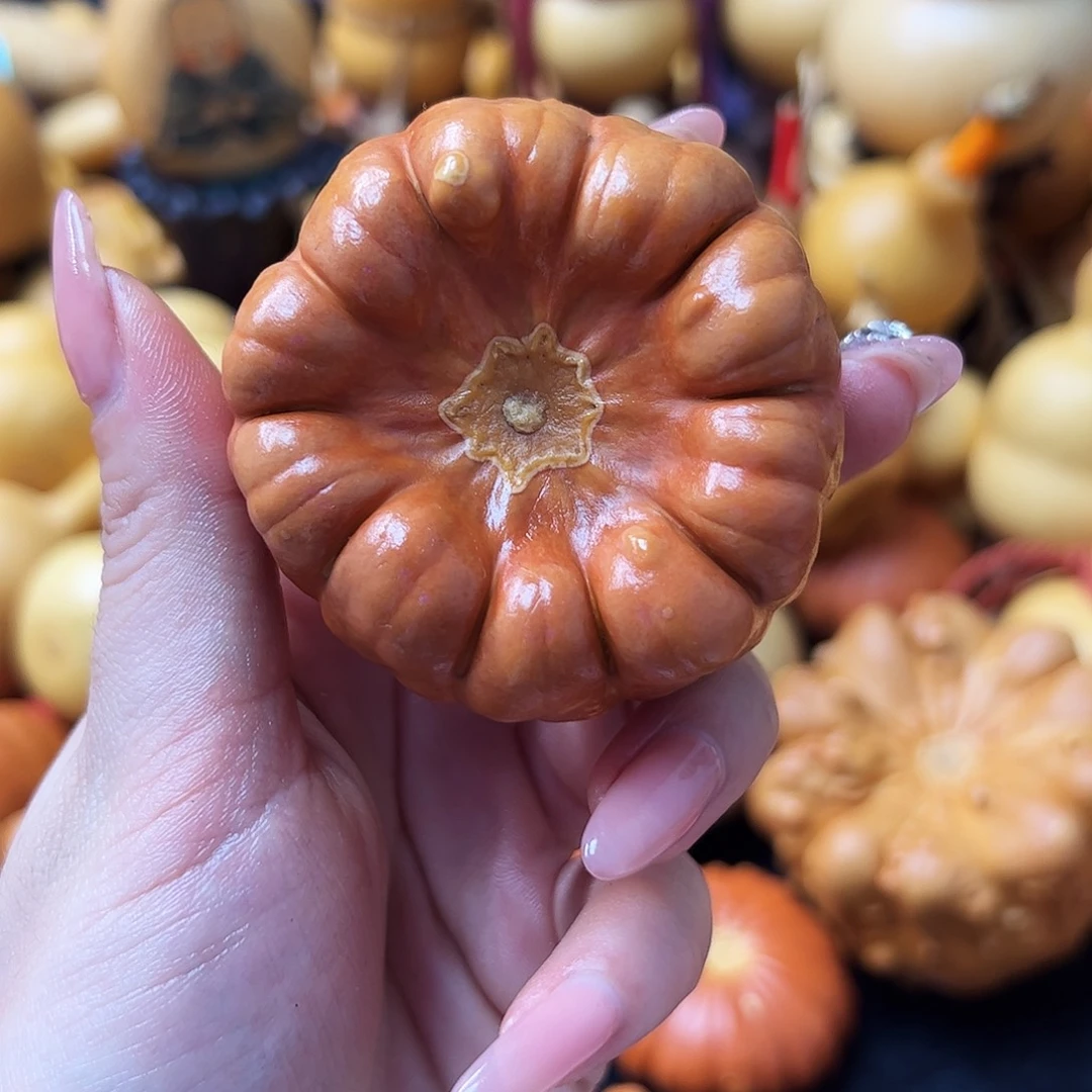 搓**军墨西哥花瓣葫芦把件