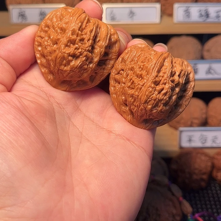 核桃42僧帽。