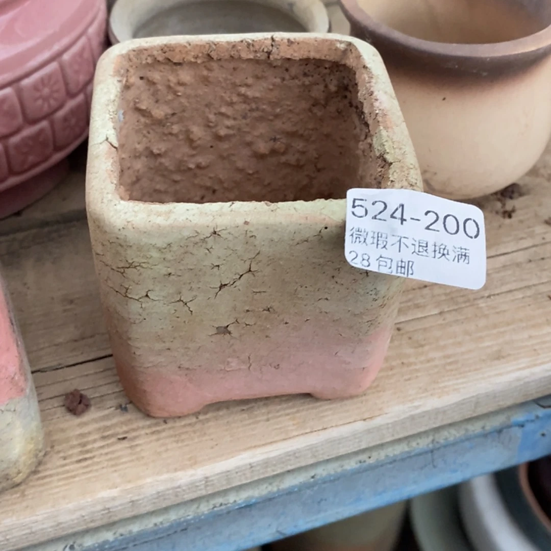 200号多肉盆小可爱