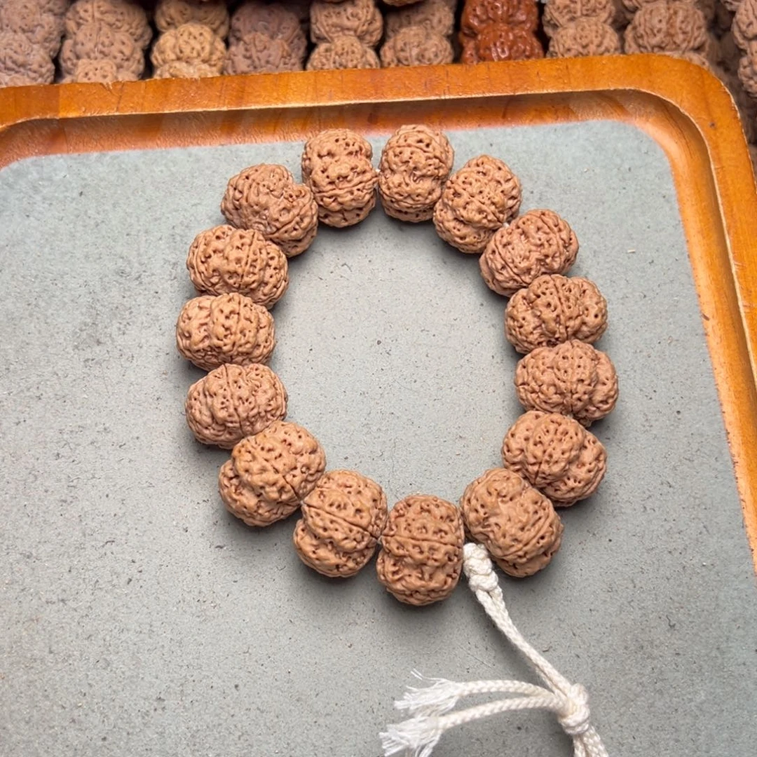 菩提23号金刚菩提梁梅花23定制