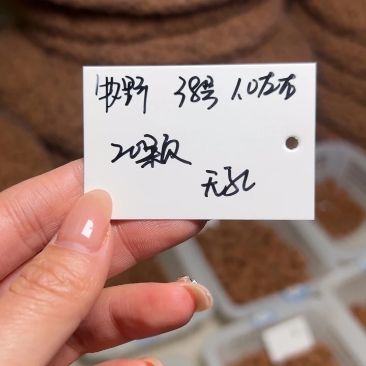 牧***野桃核手串38号肚卡10左右