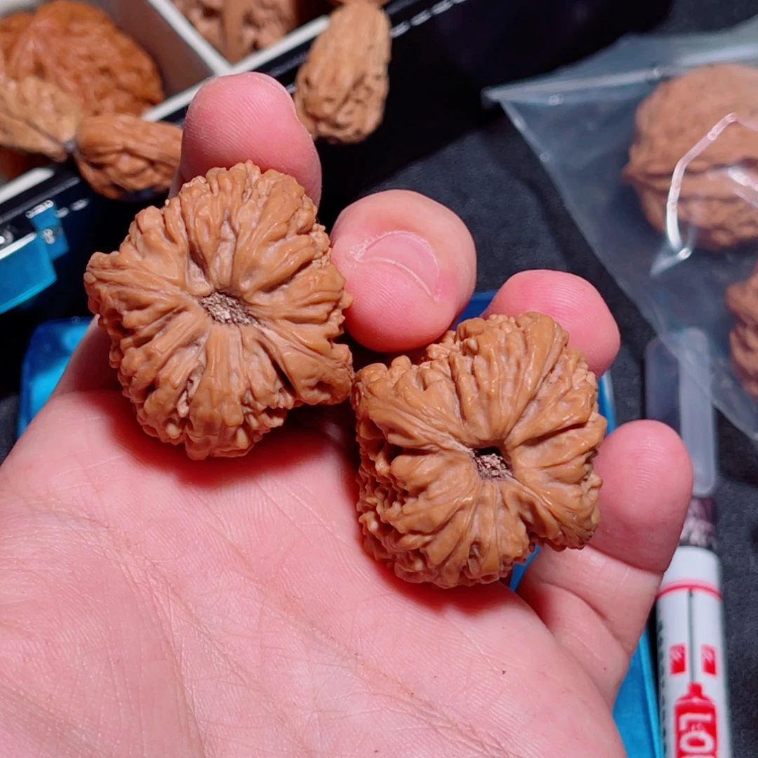 小***铭34全品蚂蚁拉丝涿鹿南疆