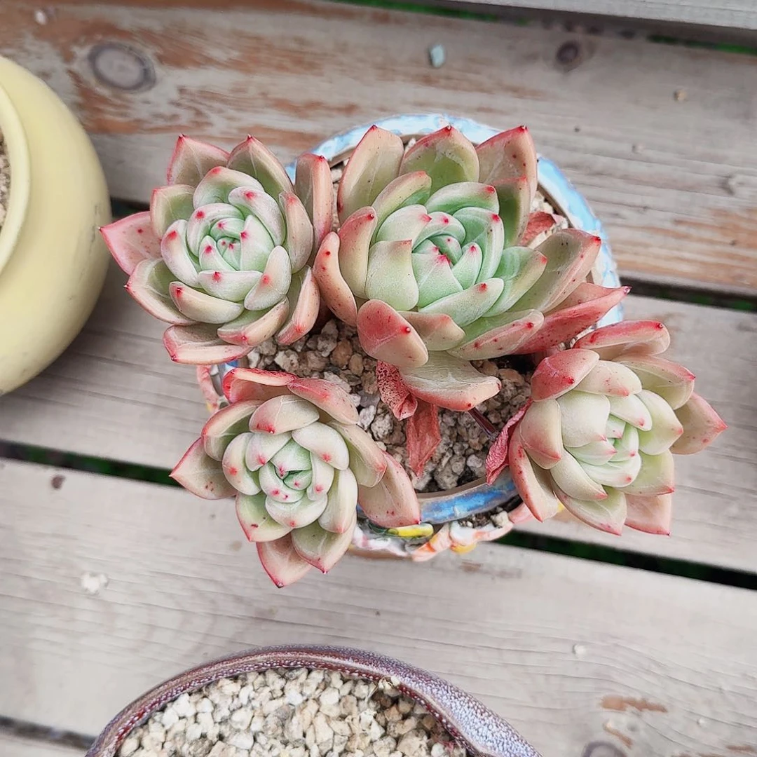 八*哈哈哈哈哈哈哈哈哈哈