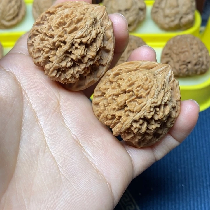 文玩核桃满天星41