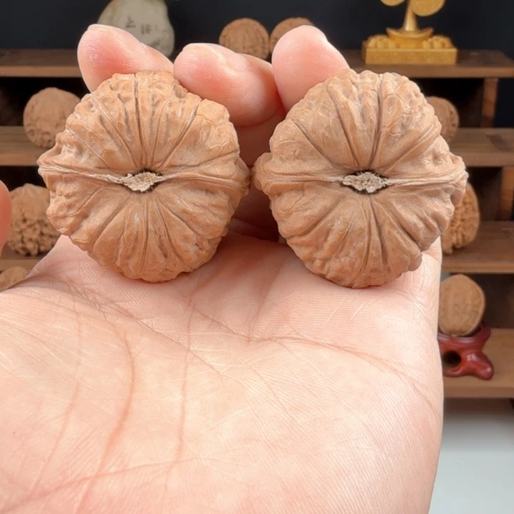 文玩核桃手串南瓜墩41.5/41/31