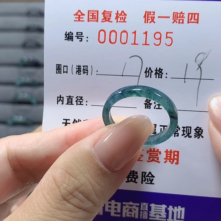 未镶嵌戒圈翡翠1195