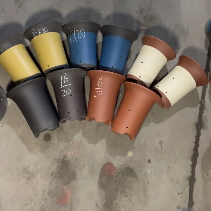 周三周四周三周四啧啧啧