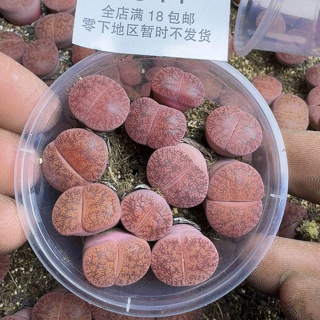 1341 哈哈哈哈哈哈哈哈