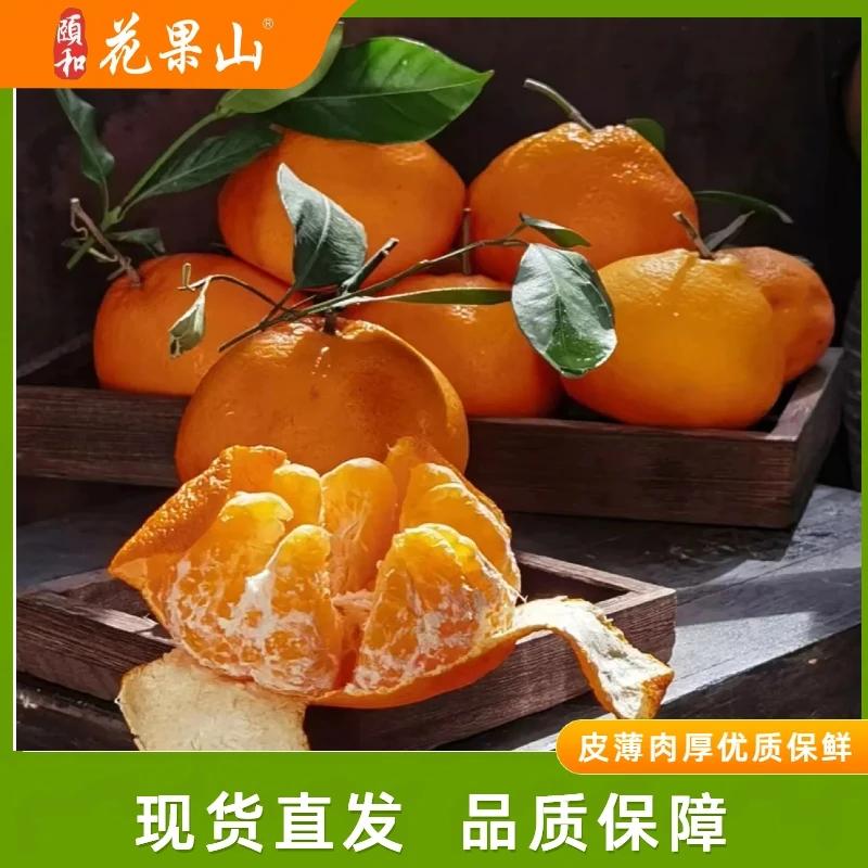 【甜之兰春见耙耙柑】皮薄肉厚多汁优质果新鲜采摘新鲜带箱8斤