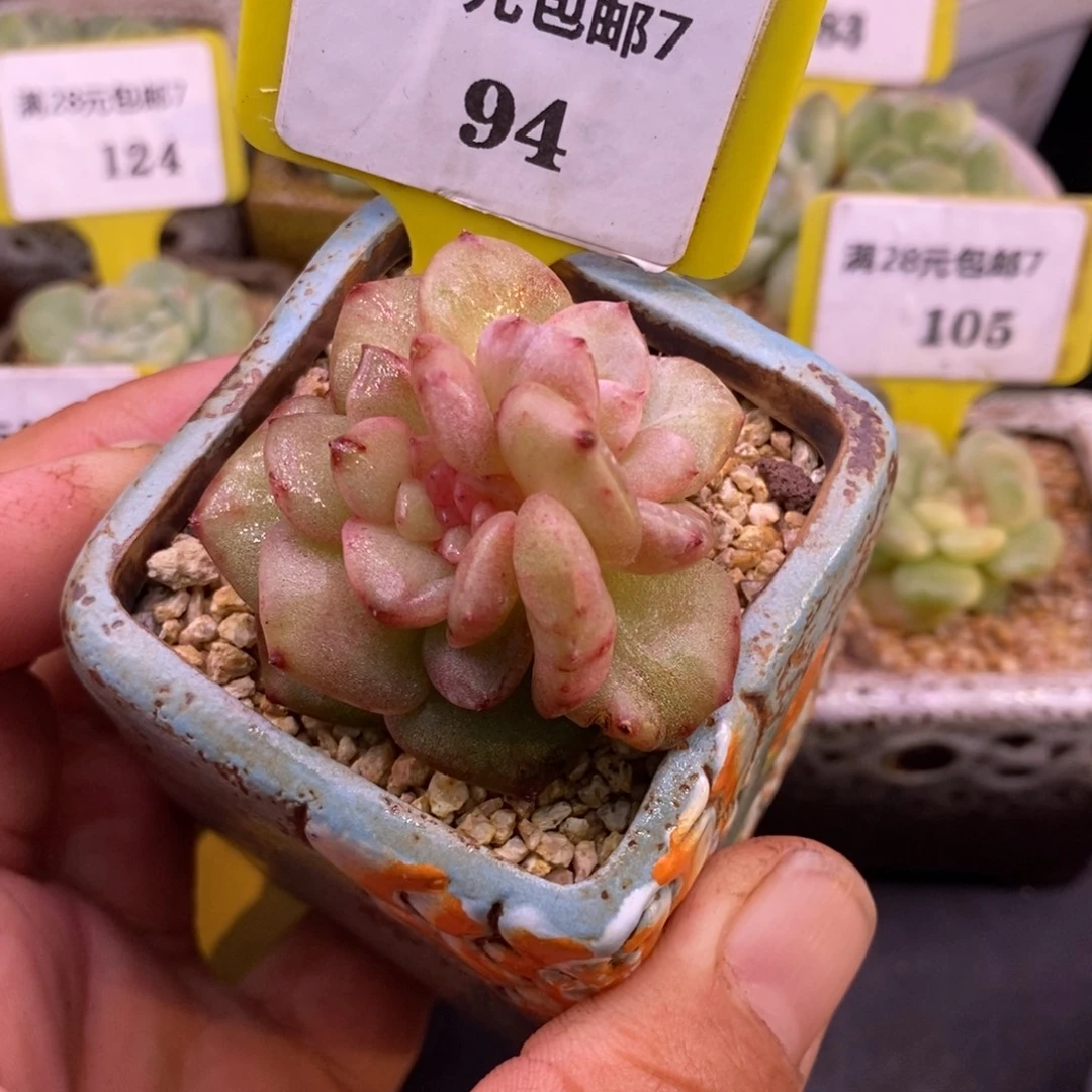 794糖心拉丝锦缀化……