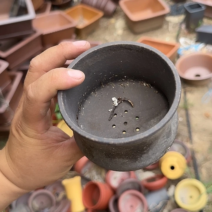 我的朋友也有在做这事呀哈