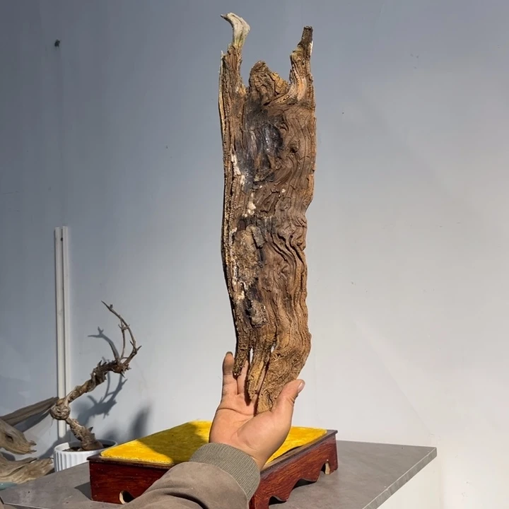 至***远柏木崖柏等自然景区的景区和自然
